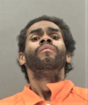 Homeless Man Admits to Attacking Elderly Woman