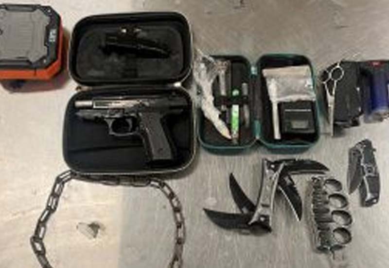 Delaware State Police Arrest Convicted Felon with Drugs and Weapons