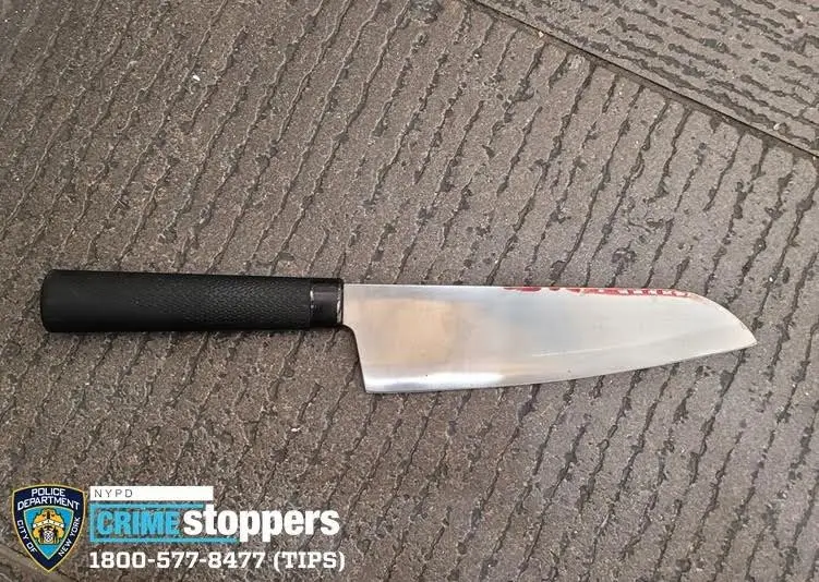 Knife-wielding man shot dead by police on Roosevelt Island Knife-wielding man shot dead by police on Roosevelt Island