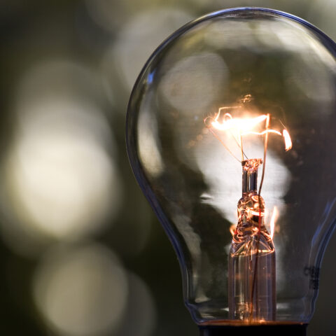 Lightbulb ban starts today in new york - photo licensed by shore news network.