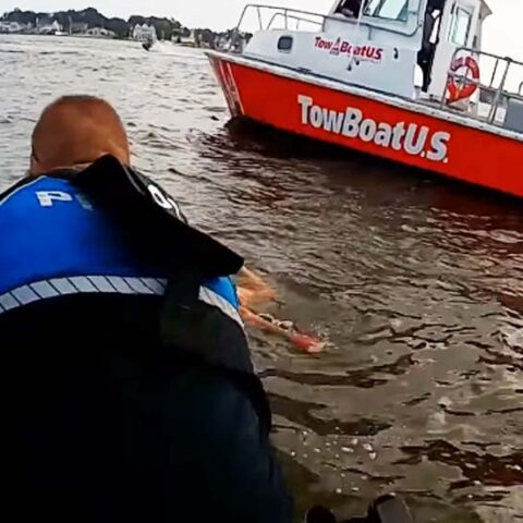 Woman rescued after crashing jetski into another operated by boyfriend - photo licensed by shore news network.