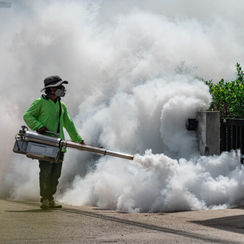 Mosquito control spraying scheduled for cranford on august 24th - photo licensed by shore news network.