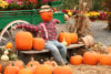 Scarecrow festival is coming to lahaska