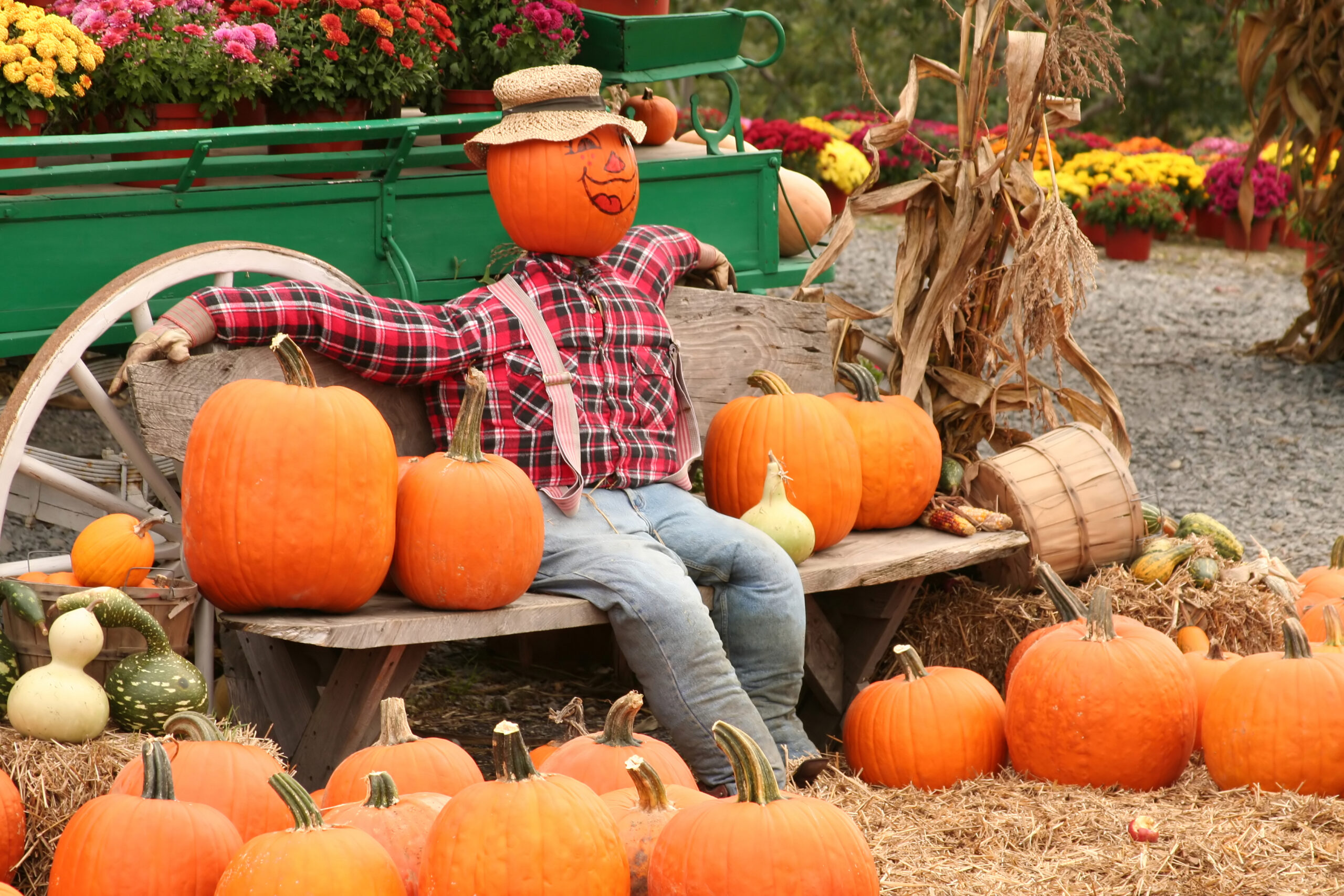 Scarecrow Festival is Coming to Lahaska