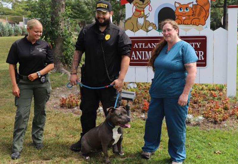 Atlantic County Animal Shelter Waives Fees in "Clear the Shelters" Event
