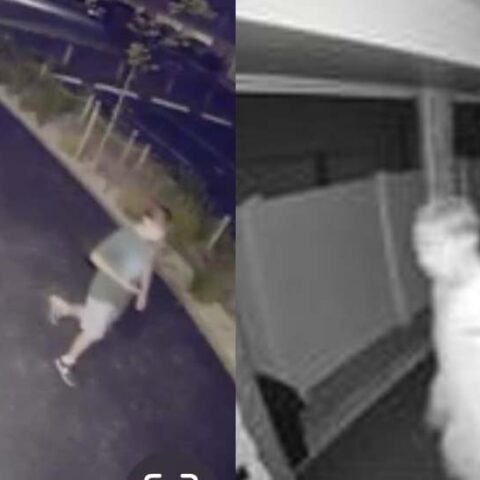 Do you recognize them? Ocean city police seek to identify burglary suspects - photo licensed by shore news network.