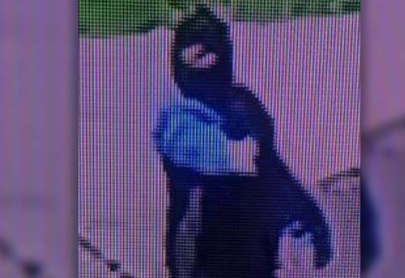 Police Continue Search for Fugitive Shooted Still on the Loose