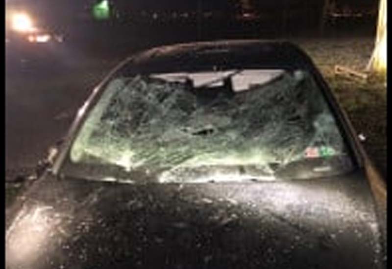 Vehicles Vandalized Overnight in Chambersburg