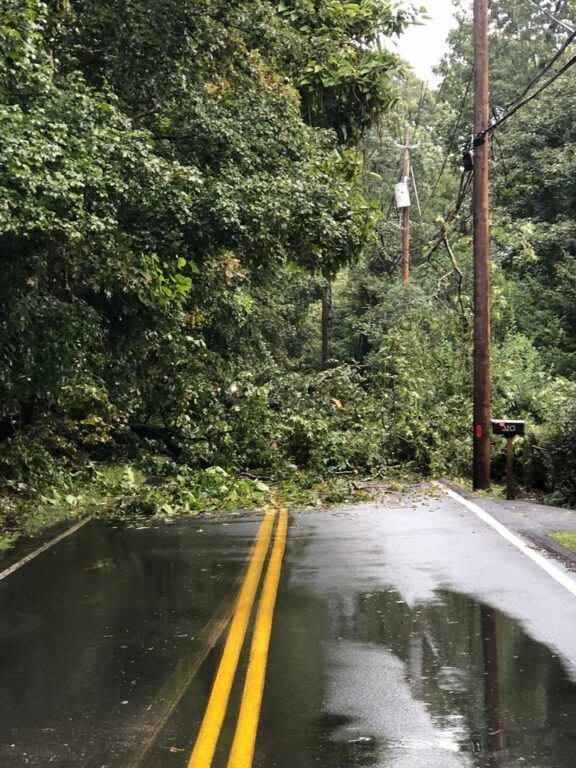 Traffic Alert: South Mountain Road Blocked by Downed Tree
