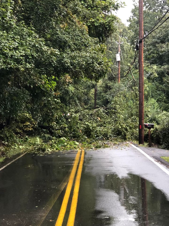 Traffic Alert: South Mountain Road Blocked by Downed Tree