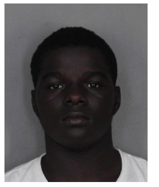 Teen Fled Police on Bike Arrested with Stolen Gun Teen Fled Police on Bike Arrested with Stolen Gun