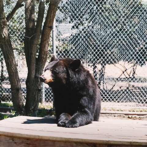 Popcorn park closed on labor day, a great off-season jersey shore destination - photo licensed by shore news network.