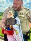 Cop rescues injured bald eagle on 22nd anniversary of sept. 11 attacks