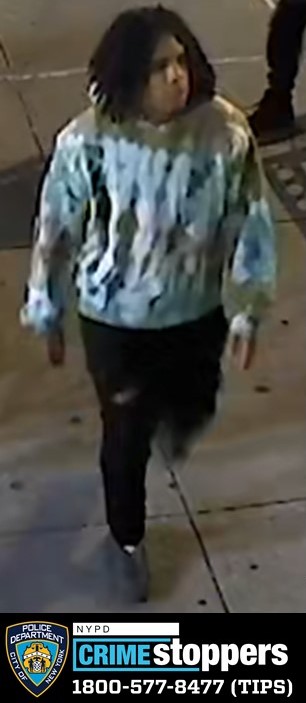 Gunman Sought in Bronx Shooting