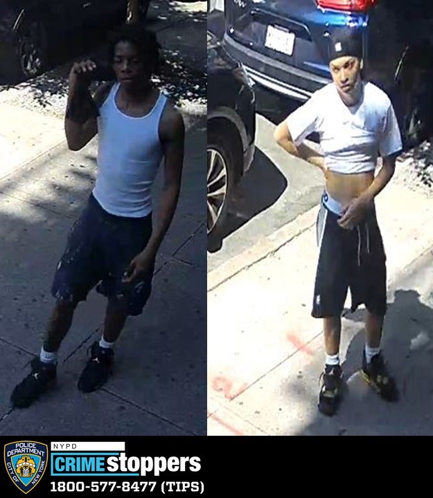 Bronx Fight Ends with Victim Being Draged Down Stairs and Robbed Bronx Fight Ends with Victim Being Draged Down Stairs and Robbed