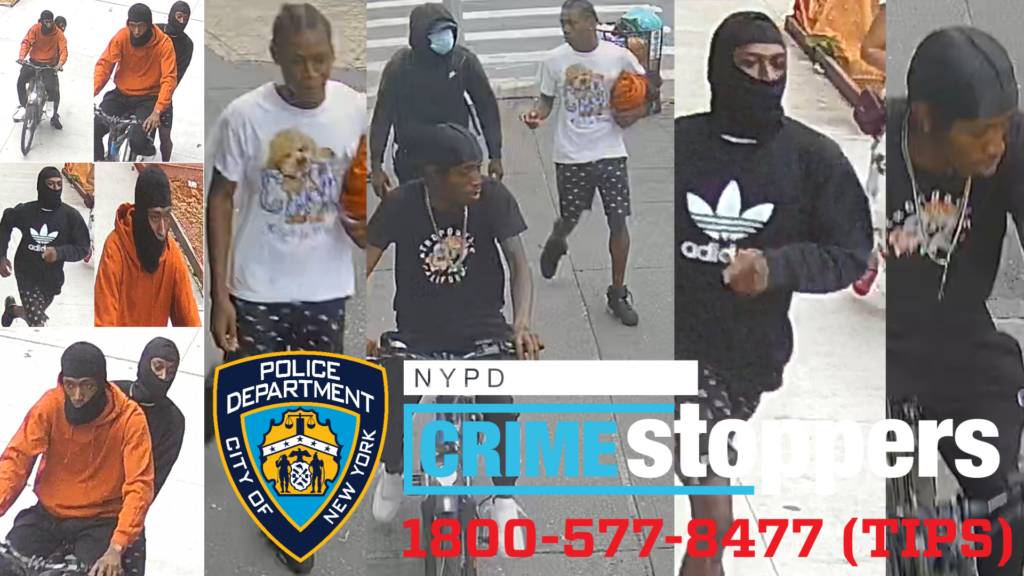 Woman Grabbed from Behind, Robbed by Bronx Mob Woman Grabbed from Behind, Robbed by Bronx Mob