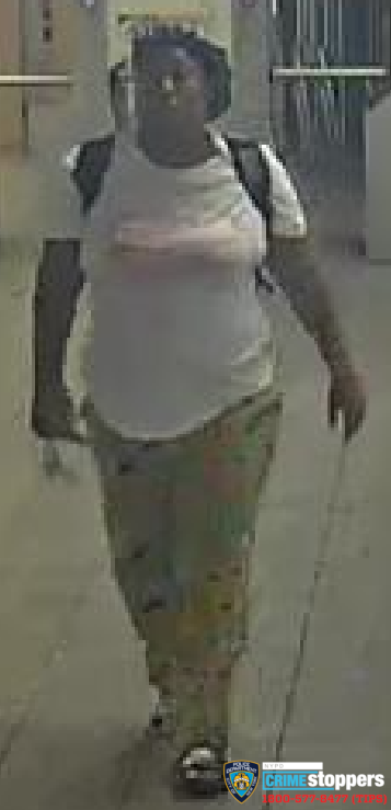 Suspect Sought in Yankee Stadium Station Attack of 72-Year-Old Woman Suspect Sought in Yankee Stadium Station Attack of 72-Year-Old Woman