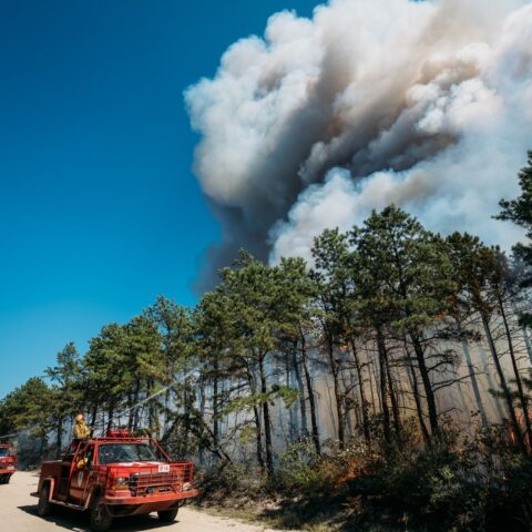 Pilot in deadly crash that sparked 831-acre wildfire identified - photo licensed by shore news network.