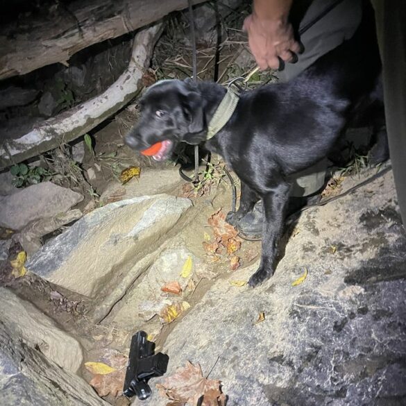 Illegal fishing trip leads police to multiple guns, drugs, machete - photo licensed by shore news network.