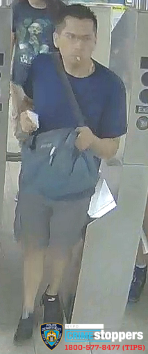 Woman Robbed While Walking Dog on 41st Street Woman Robbed While Walking Dog on 41st Street