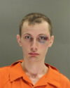Evesham man found guilty of stabbing man and his dog