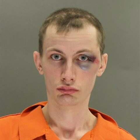 Evesham man found guilty of stabbing man and his dog - photo licensed by shore news network.