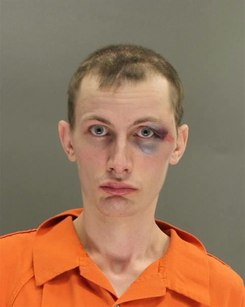 Evesham Man Found Guilty of Stabbing Man and His Dog