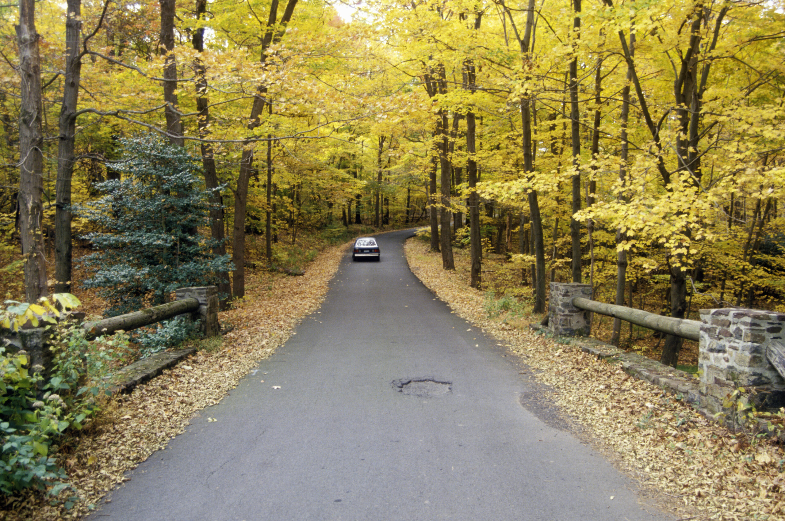 Fall in Love with New Jersey: Why the Garden State Shines in Autumn