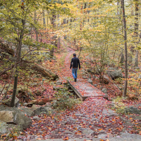 Things you need to do in new jersey before you die, leaving isn't one of them - photo licensed by shore news network.