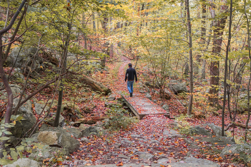 Things You Need to Do in New Jersey Before You Die, Leaving Isn't One of Them