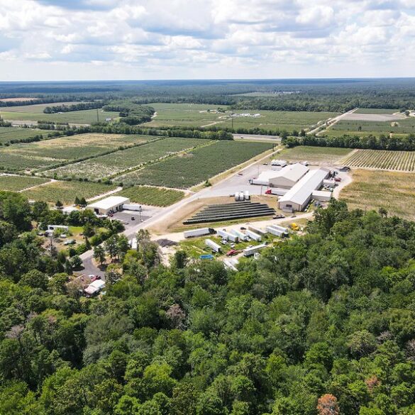 Court orders blueberry bill farms to replace unsafe wells for migrant workers - photo licensed by shore news network.