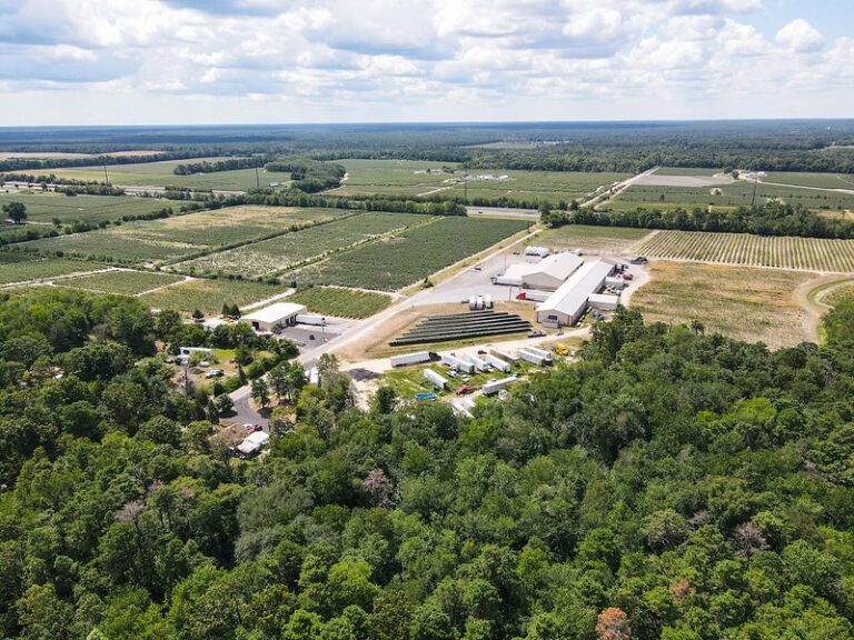 Court orders blueberry bill farms to replace unsafe wells for migrant workers - photo licensed by shore news network.