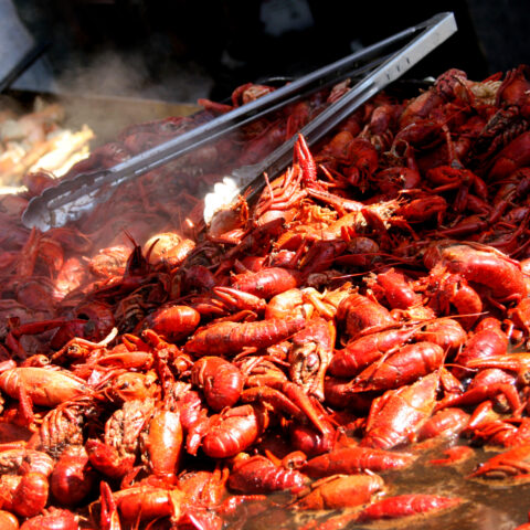 Downbeach seafood festival to serve up culinary delights in ventnor city - photo licensed by shore news network.