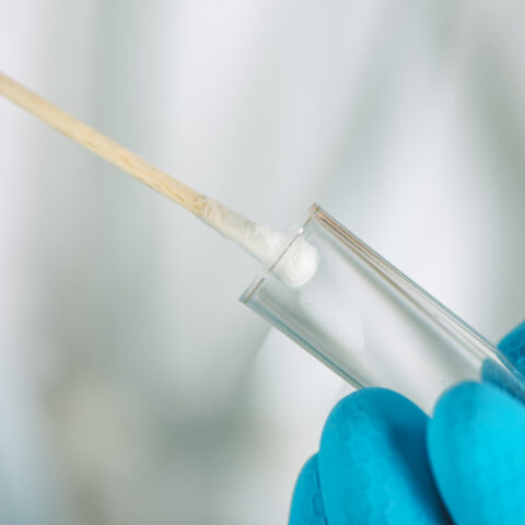 Florida man charged in new york's first investigative genetic genealogy rape cases - photo licensed by shore news network.