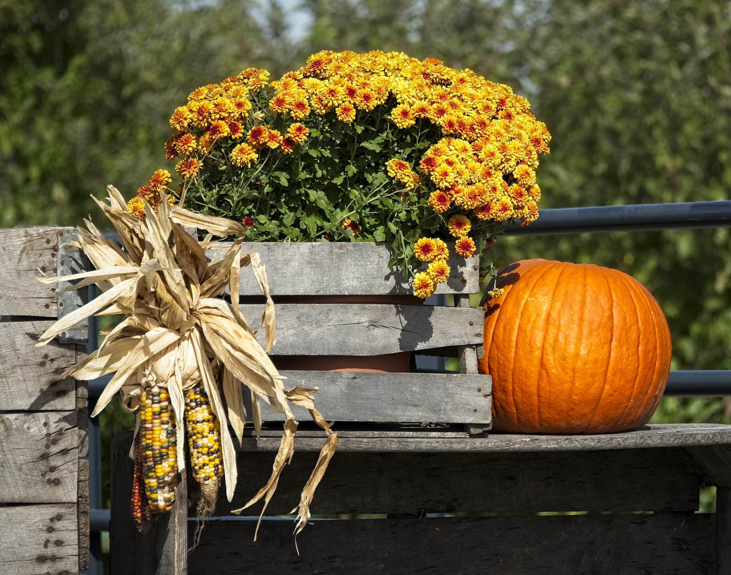 Edison's Fall Family Spectacular Offers Array of Activities For All Ages