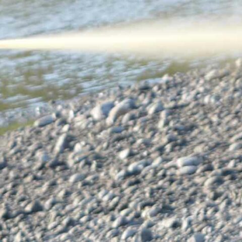 Suspect sprays cops with bear spray - photo licensed by shore news network.