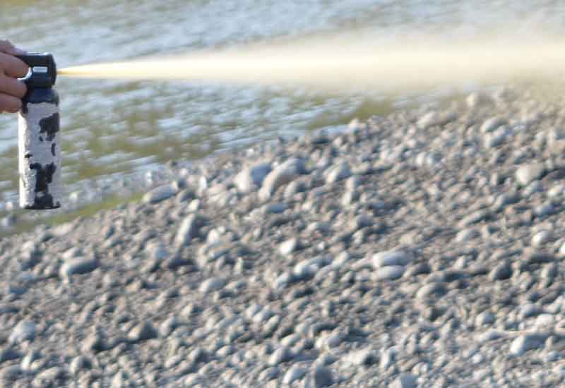 Suspect Sprays Cops with Bear Spray