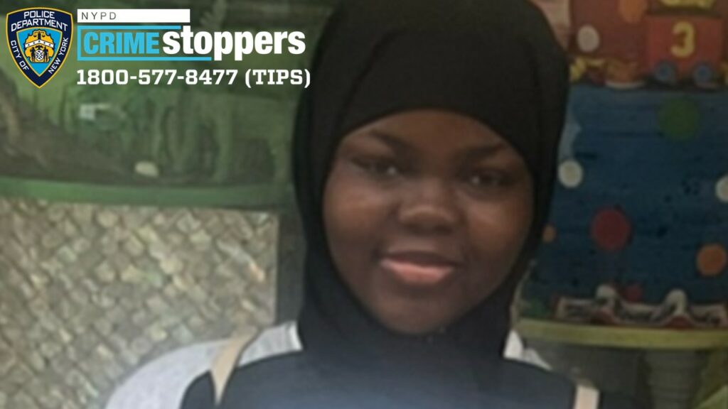 Bronx teen, 16, reported missing - photo licensed by shore news network.