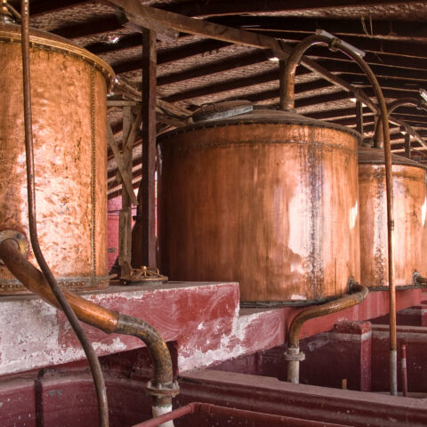 New jersey firsts: a detailed list of things we did before anyone else - photo licensed by shore news network.