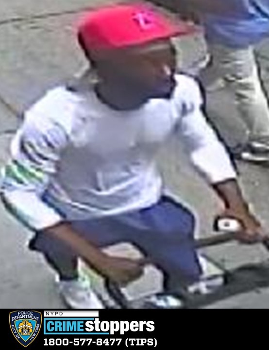 Elderly Woman Shoved Down Stairs in Uprovoked Attack on East 77th Street