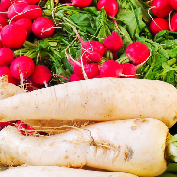 Late-season planting in new jersey: vegetables to grow in late september - photo licensed by shore news network.