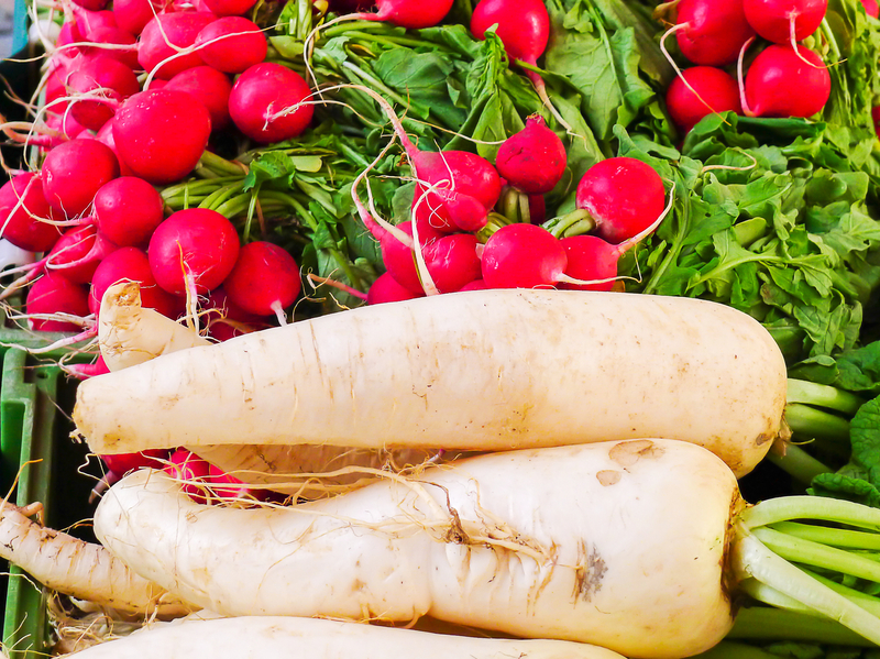 Late-Season Planting in New Jersey: Vegetables to Grow in Late September
