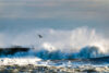 Seaside heights giving tickets for going in the ocean this week