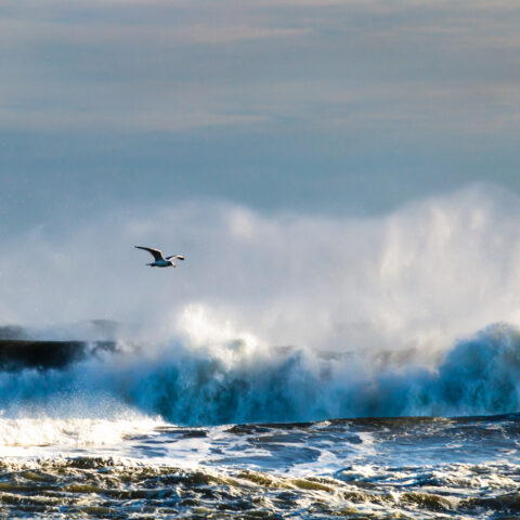 Seaside heights giving tickets for going in the ocean this week - photo licensed by shore news network.