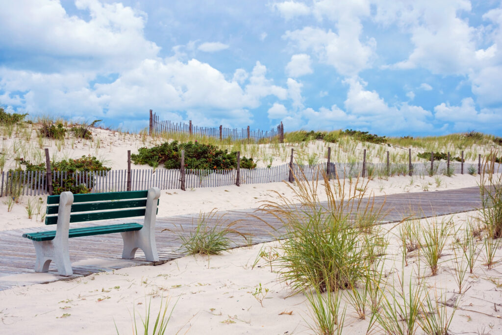 New Jersey's Best Kept Secret Has Begun Down the Shore - Locals Summer