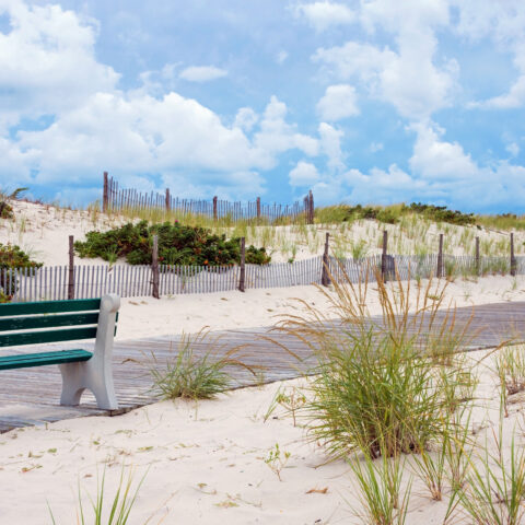 New jersey's best kept secret has begun down the shore - locals summer - photo licensed by shore news network.