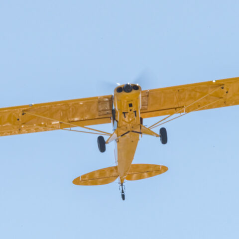 Banner plane crash in south jersey; pilot survived - photo licensed by shore news network.
