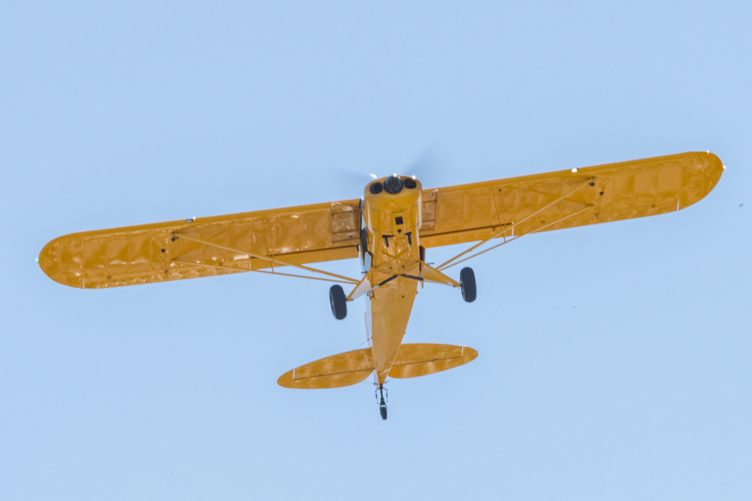 Banner Plane Crash in South Jersey; Pilot Survived