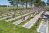 Feds slam murphy for violating rights of veterans at nursing homes where hundreds died
