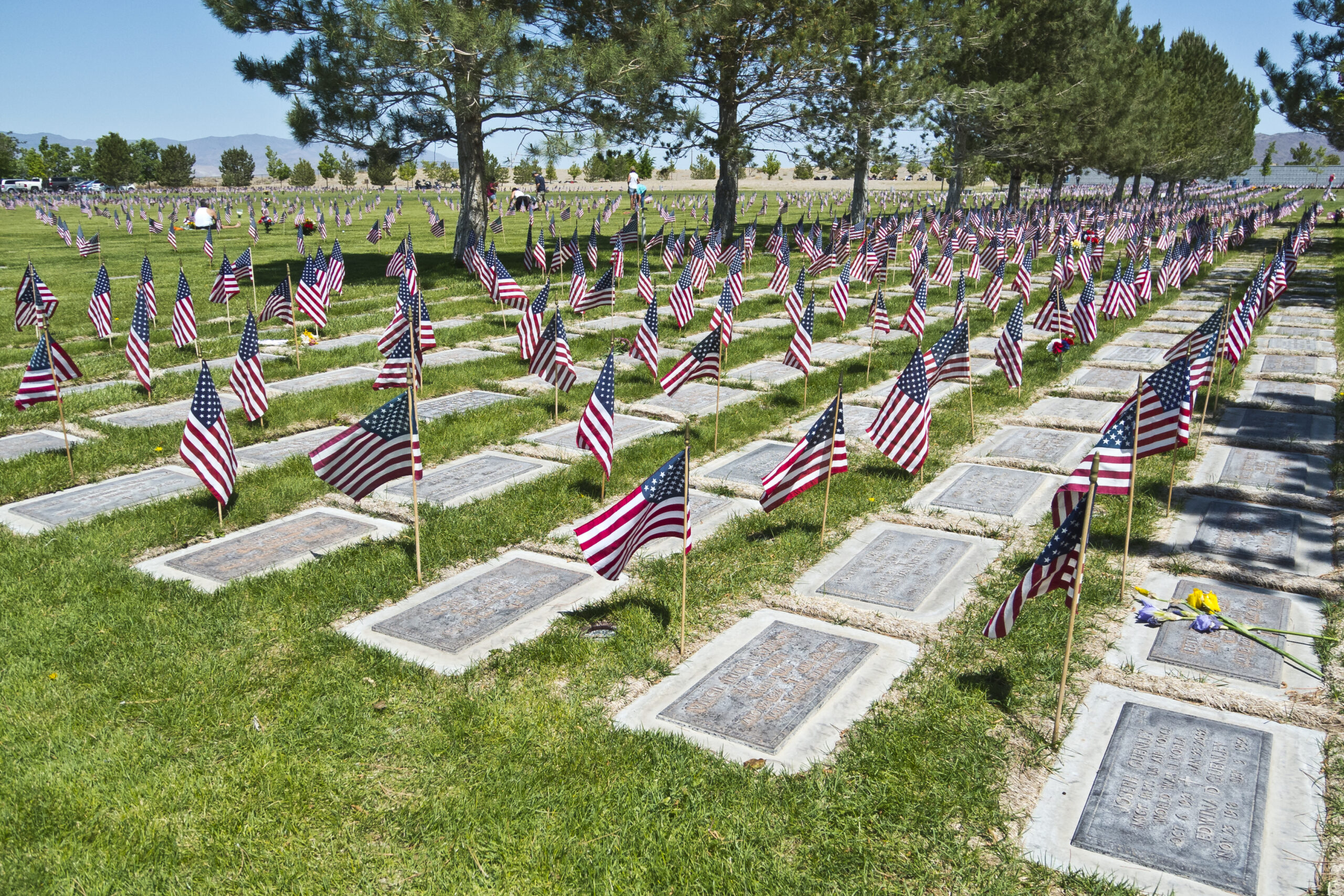 Feds Slam Murphy for Violating Rights of Veterans at Nursing Homes Where Hundreds Died